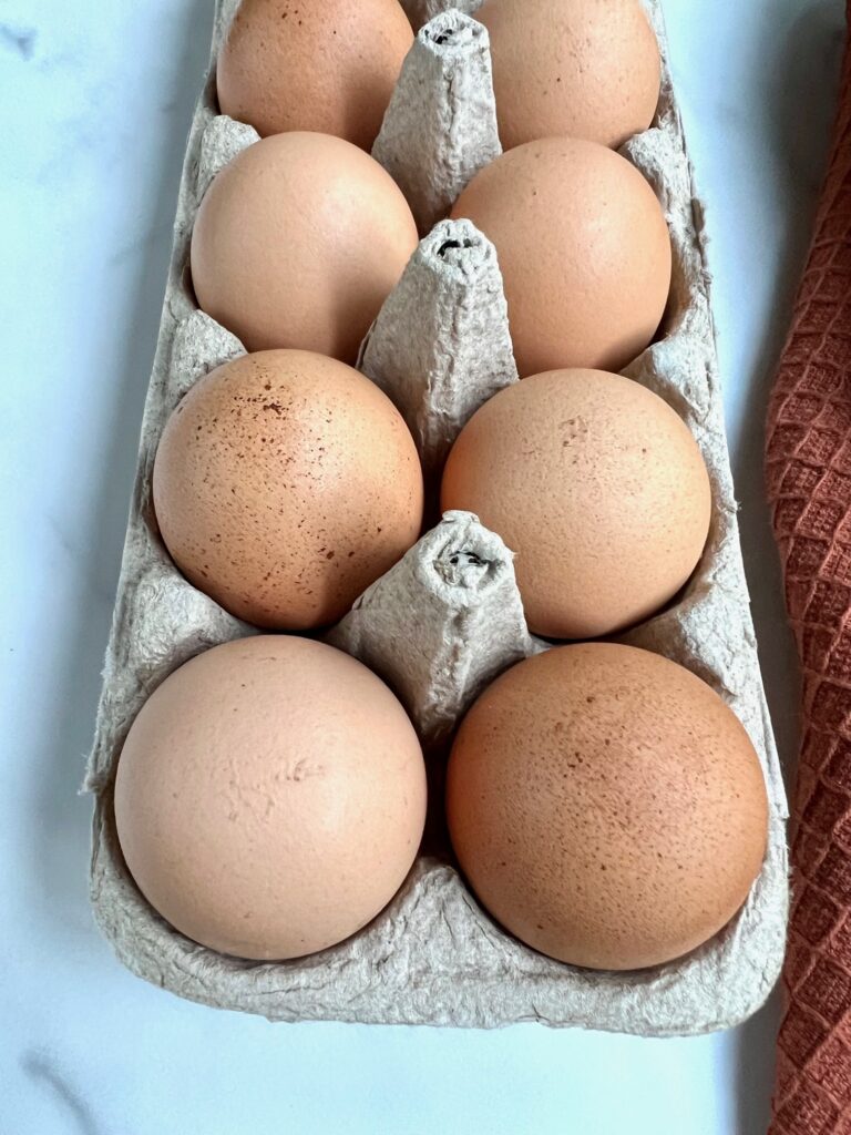 Fresh Eggs